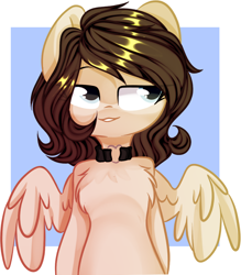 Size: 2000x2285 | Tagged: safe, artist:thieftea, oc, oc only, pegasus, abstract background, chest fluff, collar, solo