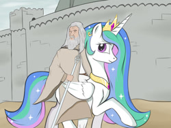 Size: 800x600 | Tagged: safe, artist:smehoon, princess celestia, human, crossover, gandalf, gandalf the white, lord of the rings