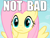 Size: 800x600 | Tagged: safe, fluttershy, pegasus, pony, bats!, caption, image macro, not bad, reaction image, solo