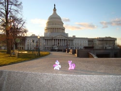 Size: 3456x2592 | Tagged: safe, artist:wordturner, derpibooru import, rarity, twilight sparkle, capitol, figure, irl, photo, ponies around the world, toy, washington d.c.