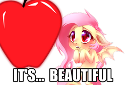 Size: 800x542 | Tagged: safe, artist:r0tii, fluttershy, bat pony, pony, bats!, cute, flutterbat, image macro, race swap, shyabates, shyabetes, solo