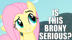 Size: 950x525 | Tagged: safe, fluttershy, pegasus, pony, bats!, caption, dreamworks face, image macro, reaction image, solo