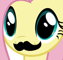 Size: 421x408 | Tagged: safe, fluttershy, pegasus, pony, meme, moustache, moustache edit, solo