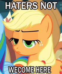 Size: 600x720 | Tagged: safe, applejack, earth pony, pony, frown, image macro, lidded eyes, meme, misspelling, solo