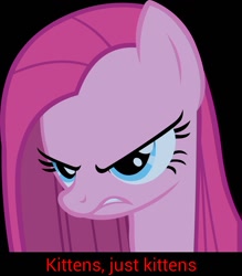 Size: 1024x1169 | Tagged: safe, pinkie pie, earth pony, pony, forced meme, kitten, meme, pinkamena caption, pinkamena diane pie, solo