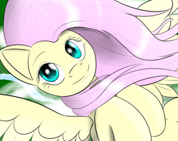 Size: 2900x2300 | Tagged: safe, artist:nightsound76, fluttershy, pegasus, pony, female, mare, pink mane, solo, yellow coat