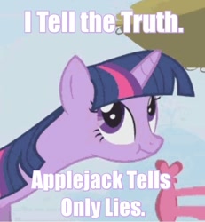 Size: 737x796 | Tagged: safe, derpibooru import, twilight sparkle, :t, faic, image macro, liar face, liarpony, riddle, solo, text