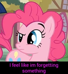 Size: 415x450 | Tagged: safe, edit, edited screencap, screencap, pinkie pie, earth pony, pony, caption, dialogue, female, image macro, mare, solo