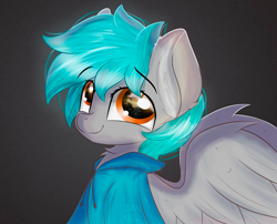 Size: 3588x2893 | Tagged: safe, artist:janelearts, oc, pegasus, pony, bust, clothes, hoodie, male, portrait, solo, stallion