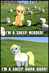 Size: 800x1190 | Tagged: safe, applejack, derpy hooves, sheep, derp, hurr durr, image macro, irl, meme, photo, ponies in real life, pun, text