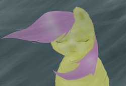 Size: 925x633 | Tagged: safe, artist:waggytail, fluttershy, fluffy pony, pegasus, pony, crying, fluffyshy, solo, wind