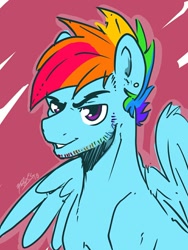 Size: 968x1287 | Tagged: safe, artist:nolycs, derpibooru import, rainbow blitz, rainbow dash, pegasus, pony, rule 63, solo