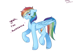 Size: 1024x768 | Tagged: safe, artist:nettlebug, derpibooru import, rainbow dash, pegasus, pony, cutie mark, dialogue, female, looking at you, mare, simple background, smiling, solo, walking, white background