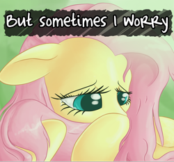 Size: 750x700 | Tagged: safe, artist:redrovershideaway, artist:tami-kitten, fluttershy, pegasus, pony, crying, friendship is still magic, heartwarming, solo, text