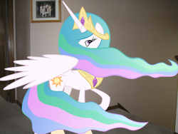 Size: 960x720 | Tagged: safe, artist:s-missile, princess celestia, cute, irl, photo, ponies in real life, shy, solo, vector