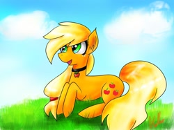 Size: 1024x768 | Tagged: safe, artist:light-east, applejack, earth pony, pony, collar, grass, prone, solo