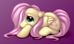 Size: 1024x616 | Tagged: safe, artist:shema-the-lioness, fluttershy, pegasus, pony, cute, floppy ears, hair over one eye, prone, purple background, shy, shyabetes, simple background, solo