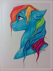 Size: 1024x1362 | Tagged: safe, artist:mylittleasspit, derpibooru import, rainbow dash, pegasus, pony, bust, female, mare, marker drawing, solo, traditional art, wet mane