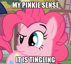 Size: 415x374 | Tagged: safe, pinkie pie, earth pony, pony, face, image macro, meme, pinkie sense, raised eyebrow, solo