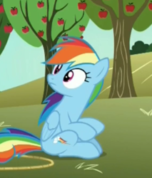 Size: 752x881 | Tagged: safe, derpibooru import, screencap, rainbow dash, pegasus, pony, grannies gone wild, apple tree, cropped, rope, solo, tree