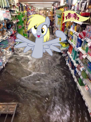 Size: 538x720 | Tagged: safe, derpy hooves, pegasus, pony, female, flag, flood, image macro, irl, mare, meme, photo, ponies in real life, solo, thailand, water