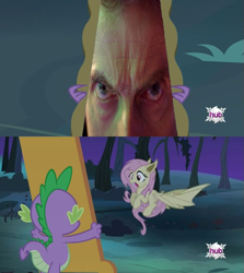 Size: 913x1024 | Tagged: safe, fluttershy, bat pony, pony, bats!, day of the doctor, doctor who, exploitable meme, flutterbat, flutterbat's mirror, meme, mirror, no sir all thirteen, peter capaldi, race swap, twelfth doctor