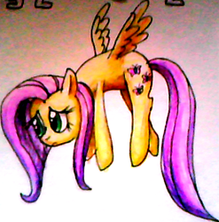 Size: 460x466 | Tagged: safe, artist:colossalstinker, fluttershy, pegasus, pony, female, mare, pink mane, solo, yellow coat