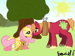 Size: 640x480 | Tagged: safe, artist:brownie-12, big macintosh, fluttershy, oc, earth pony, pegasus, pony, fluttermac, male, offspring, parent:big macintosh, parent:fluttershy, parents:fluttermac, shipping, stallion, straight