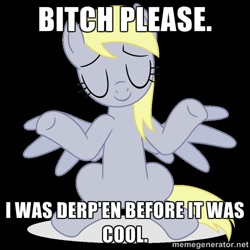 Size: 500x500 | Tagged: safe, derpy hooves, pegasus, pony, captioned, female, mare, meme, solo