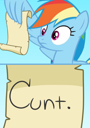 Size: 1140x1616 | Tagged: safe, artist:saphire-systrine, derpibooru import, rainbow dash, pegasus, pony, grannies gone wild, cunt, exploitable meme, meme, rainbow dash reading a scroll, vulgar, wing hands