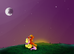 Size: 1500x1100 | Tagged: safe, artist:takpony, big macintosh, fluttershy, earth pony, pegasus, pony, back, fluttermac, male, night, shipping, stallion, straight