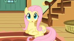 Size: 1054x591 | Tagged: safe, screencap, fluttershy, pegasus, pony, a bird in the hoof, cute, solo