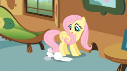 Size: 1054x592 | Tagged: safe, screencap, angel bunny, fluttershy, pegasus, pony, a bird in the hoof, female, mare