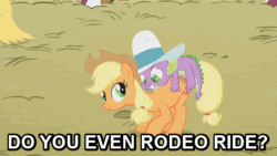 Size: 600x338 | Tagged: safe, edit, edited screencap, screencap, applejack, spike, dragon, earth pony, pony, fall weather friends, animated, bucking, cowboy hat, do you even lift, dragons riding ponies, duo, female, hat, image macro, male, mare, meme, riding, spikeabuse