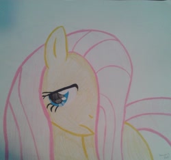 Size: 1024x958 | Tagged: safe, artist:tikkanii, fluttershy, pegasus, pony, female, mare, solo, traditional art