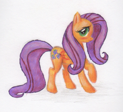 Size: 665x605 | Tagged: safe, artist:benrusk, fluttershy, pegasus, pony, female, mare, solo, traditional art