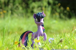 Size: 5184x3456 | Tagged: safe, artist:sameasusual, derpibooru import, twilight sparkle, absurd resolution, custom, irl, photo, sculpture, toy