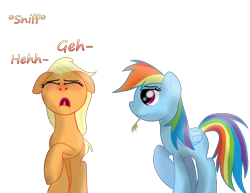 Size: 2874x2222 | Tagged: safe, artist:daisy meadows, derpibooru import, applejack, rainbow dash, earth pony, pegasus, pony, allergies, hay, nostril flare, pre sneeze, sneezing