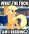 Size: 309x370 | Tagged: safe, applejack, earth pony, pony, book, image macro, reaction image, solo, vulgar, what the fuck am i reading