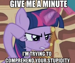 Size: 640x534 | Tagged: safe, derpibooru import, twilight sparkle, image macro, reaction image, solo