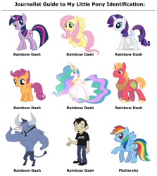 Size: 1200x1346 | Tagged: safe, derpibooru import, big macintosh, fluttershy, iron will, princess celestia, rainbow dash, rarity, scootaloo, twilight sparkle, alicorn, earth pony, pegasus, pony, unicorn, dan, journalist guide to x identification, male, stallion