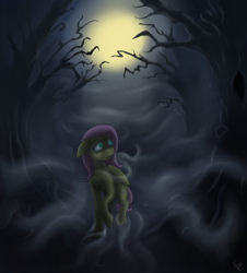 Size: 1024x1133 | Tagged: safe, artist:fatninjah, fluttershy, pegasus, pony, dark, forest, solo