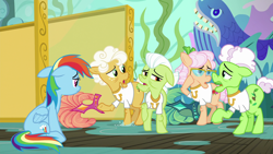 Size: 1920x1080 | Tagged: safe, derpibooru import, screencap, apple rose, auntie applesauce, goldie delicious, granny smith, rainbow dash, earth pony, pegasus, pony, grannies gone wild, elderly, female, floppy ears, gold horseshoe gals, mare