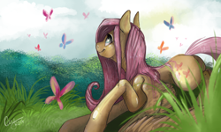 Size: 2500x1500 | Tagged: safe, artist:casynuf, fluttershy, butterfly, pegasus, pony, grass, solo