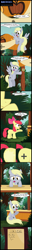 Size: 1032x8135 | Tagged: safe, artist:toxic-mario, apple bloom, derpy hooves, pegasus, pony, the cutie map, comic, female, mare