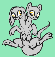 Size: 194x200 | Tagged: artist needed, safe, artist:darkdoomer, derpy hooves, oc, original species, conjoined, conjoined twins, cute, derp, digital art, floppy ears, iscribble, multiple heads, multiple limbs, on back, paw fetish, paws, simple background, smiling, solo, species swap, spread legs, toes, two heads, wat