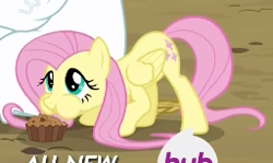 Size: 256x153 | Tagged: safe, screencap, bulk biceps, fluttershy, pegasus, pony, rainbow falls, aweeg*, cropped, cute, eating, female, female focus, food, hub logo, hubble, mare, muffin, puffy cheeks, shyabetes, solo focus, the hub