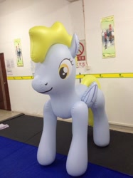 Size: 599x800 | Tagged: safe, derpy hooves, pegasus, pony, bootleg, female, hongyi, inflatable, inflatable toy, irl, mare, photo, solo