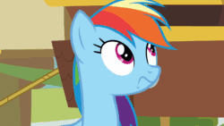 Size: 902x508 | Tagged: safe, derpibooru import, screencap, rainbow dash, pegasus, pony, grannies gone wild, animated, faic, frustrated, gif, hair pulling, rainbow dash is best facemaker, rainbowsnap, solo