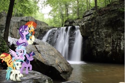 Size: 1999x1332 | Tagged: safe, artist:jhayarr23, editor:php77, silverstream, starlight glimmer, sunburst, sunset shimmer, terramar, twilight sparkle, twilight sparkle (alicorn), alicorn, classical hippogriff, hippogriff, forest, irl, photo, ponies in real life, waterfall